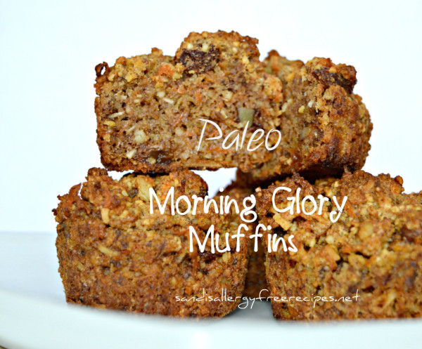 Paleo-Morning-Glory-Muffins