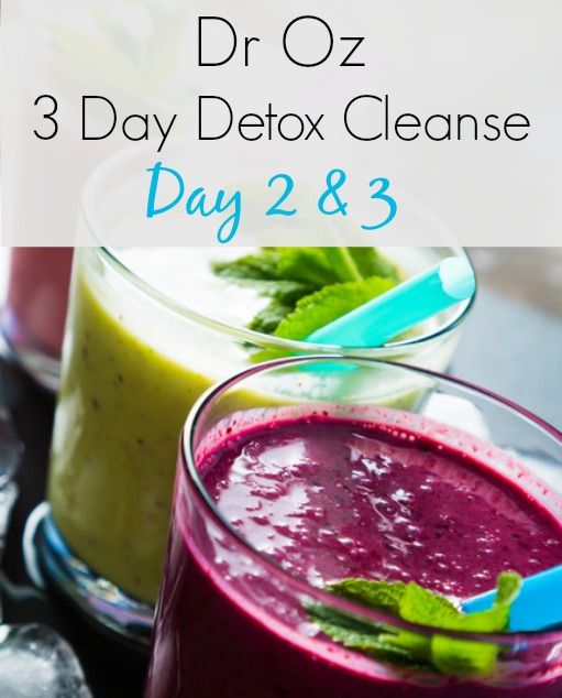Dr Oz 3 Day Cleanse Smoothies