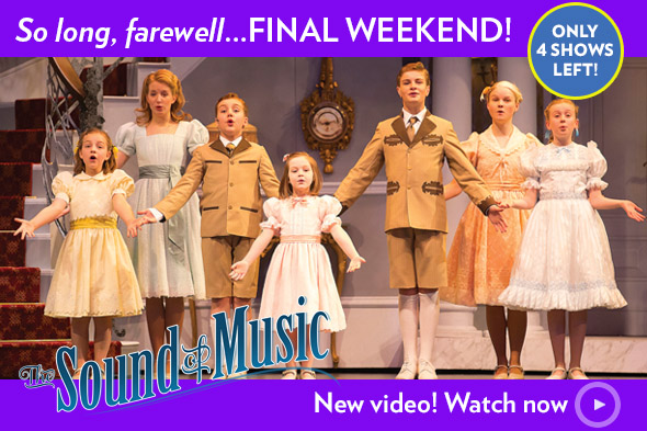 last chance to see the sound of music before it leaves chicago + 20% off code